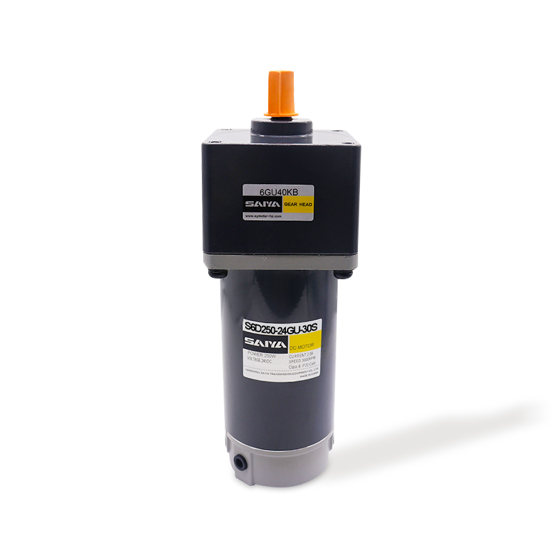 Motors d'engrenage DC 250W Brush